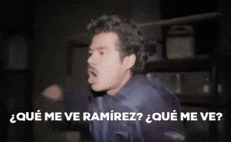 harina que se armen los pinches chingadazos no es harina que me ve ramirez que me ve GIF