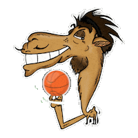 camel_cookies dessert cookies uae camel Sticker