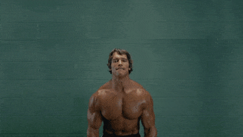 arnold schwarzenegger cat GIF