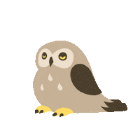 Tired Bird Sticker