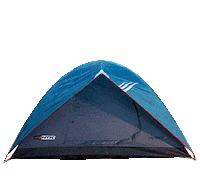 Dia Carpa Sticker by Easy Tienda