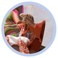 Funk Wc Sticker by Sony Music Brasil