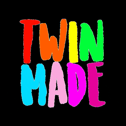 TwinMade giphygifmaker twinmade GIF