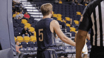 Montana State Go Cats GIF by MSU Bobcats