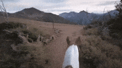 oregon GIF