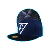 Baseball Hat Sticker by CapicheCaps