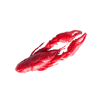 Louisiana Crawfish Sticker by williesbr