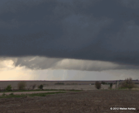 tornado GIF
