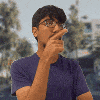 Elm Dirve GIF