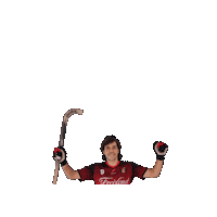 Hockey Sticker by CE Noia