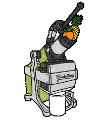 Juice Detox Sticker by Goodnature