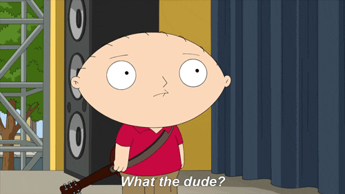 what the dude GIF by Family Guy