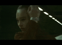 GIF by NOWNESS