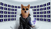 Wake Up GIF by DogeGF