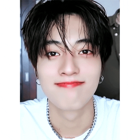 tintuckpop giphyupload GIF