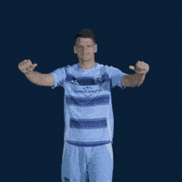 Major League Soccer Football GIF by Sporting KC