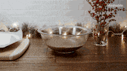 GIF by Mashable
