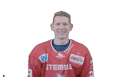Hockey Family Sticker by Eisbären Regensburg