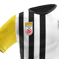 Bundesliga Lask Sticker by ADMIRAL