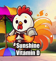 Sunshine Relaxation GIF by Zorooster