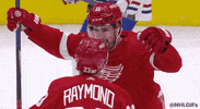 National Hockey League Sport GIF by NHL