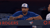 Blue Jays Baseball GIF by Toronto Blue Jays