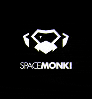 spacemonki techno spacemonki GIF