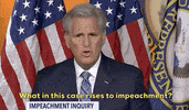 news republican kevin mccarthy whistleblower GIF