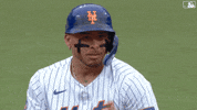 Baseball Mlb GIF by New York Mets