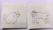 GIF by constant