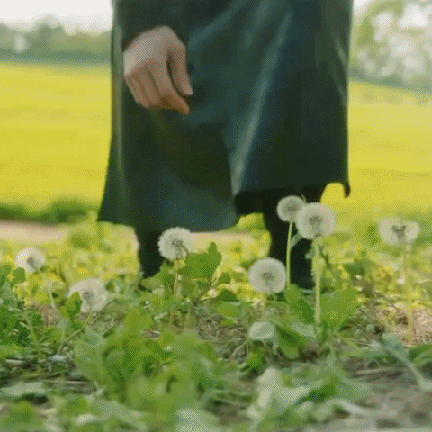 Drama Love GIF by Eccho Rights