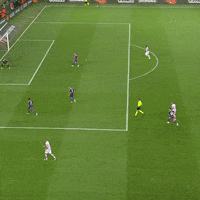 1 Fc Cologne Football GIF by 1. FC Köln