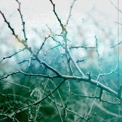 Art Design GIF