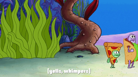 season 9 episode 24 GIF by SpongeBob SquarePants