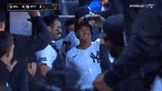 Celebrate New York Yankees GIF by MLB