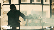 GIF by Cinemax
