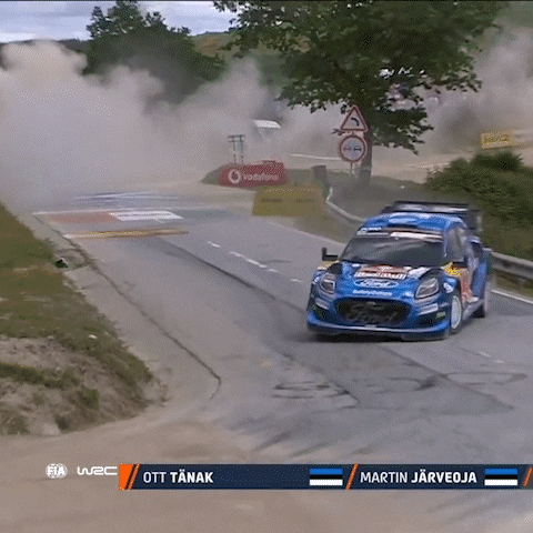 Sport Driving GIF by FIA World Rally Championship