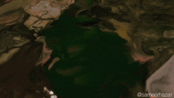 art making GIF by sameerhazari