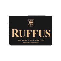 Champagne Belgium Sticker by Ruffus.be