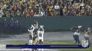 Chicago Bears Football GIF by NFL