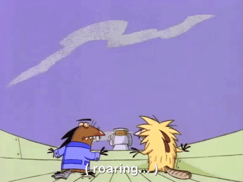 angry beavers nicksplat GIF