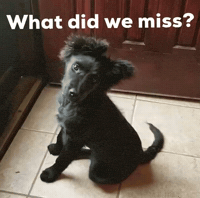 Nikola_Coin what did we miss GIF