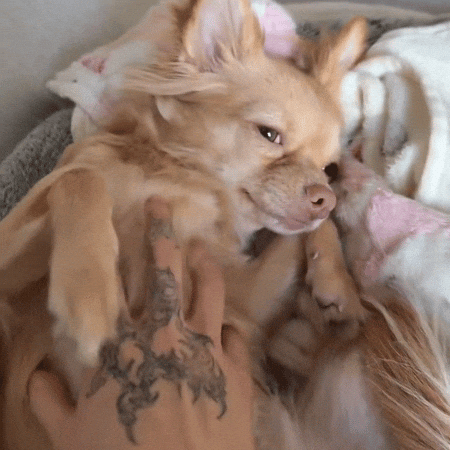 Sleepy In Bed GIF