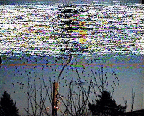 video art love GIF by Jano Soto Cossio