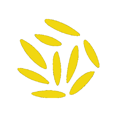 Sementes Seed Sticker by Tudo em Grãos