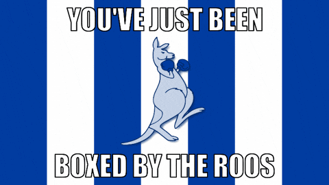 Afl Kangaroos GIF by North Melbourne FC