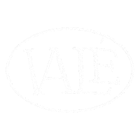 Party Logo Sticker by VALÉ