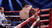 toprank fight boxing fighting espn GIF