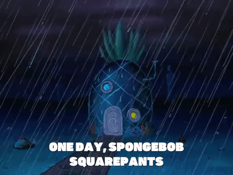 season 6 squid's visit GIF by SpongeBob SquarePants
