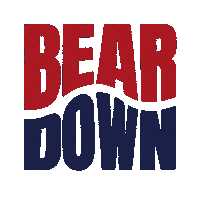 Arizonawildcats Sticker by The University of Arizona